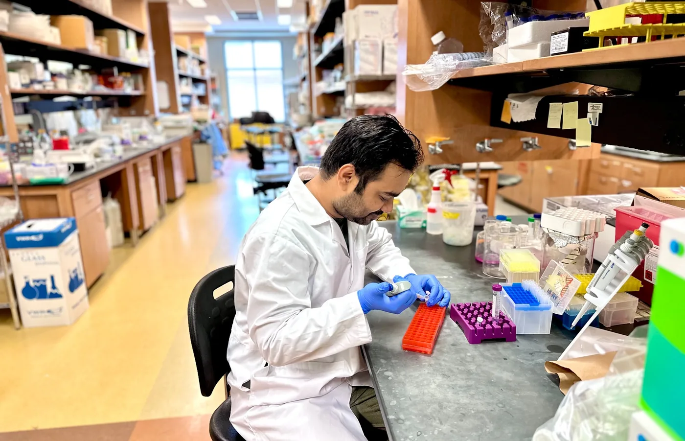 M H M Mubassir pipetting samples at the bench